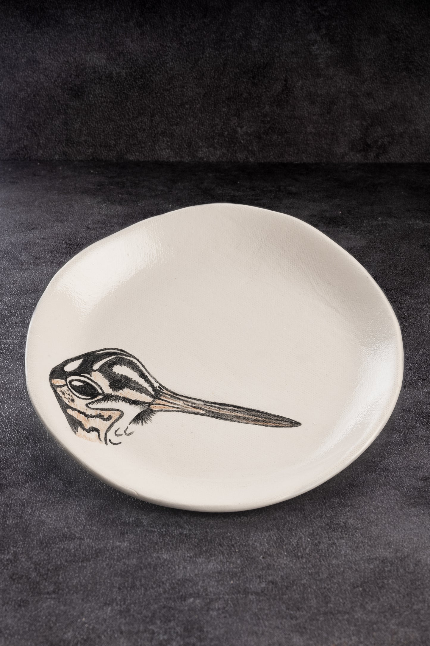 Plato de Pan | Colección Aves