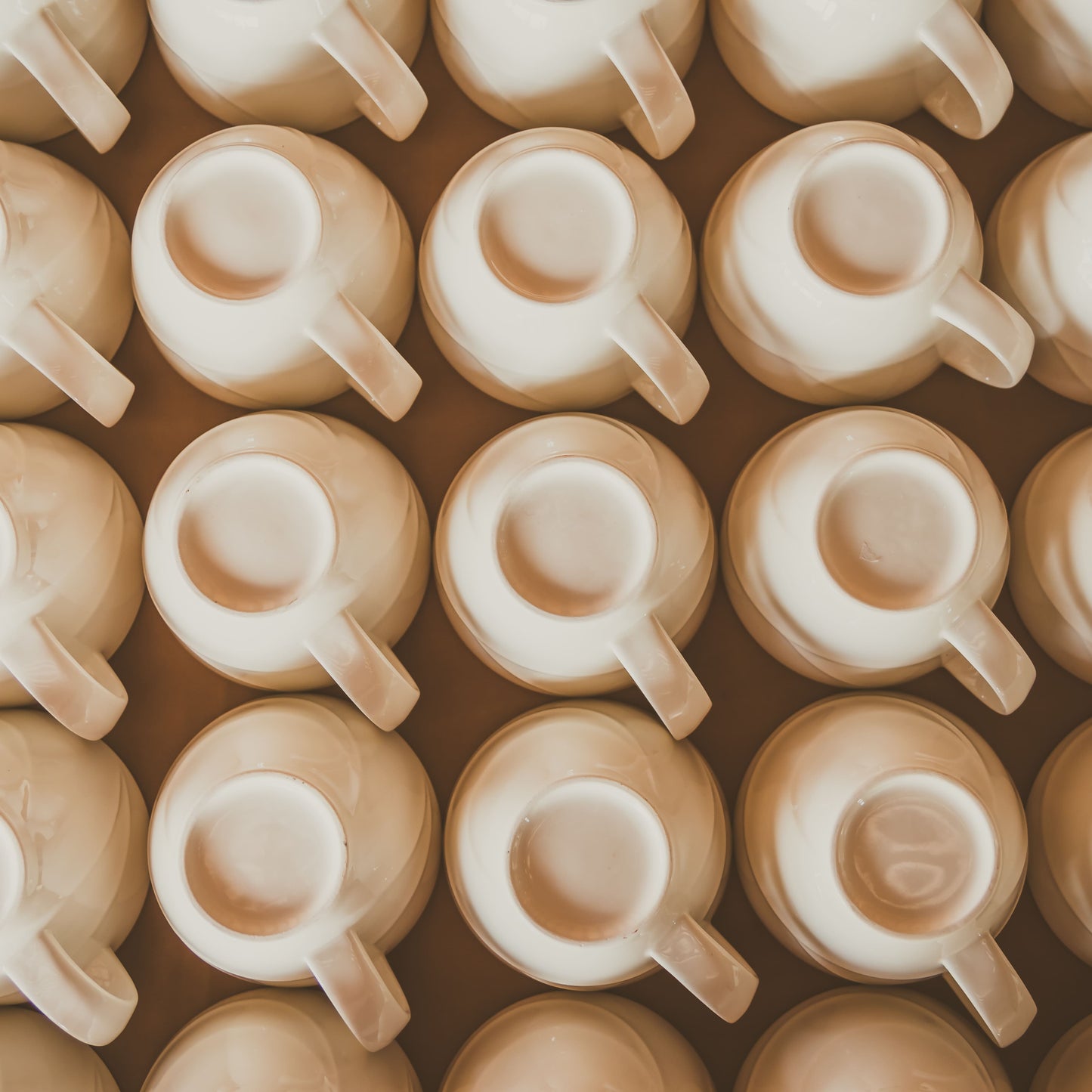 Taller de Pintura de Tazas en Madrid